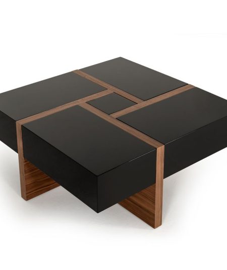 Makai Modern storage Coffee Table