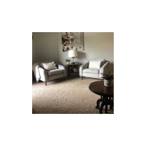 Ledger Armchair photo review