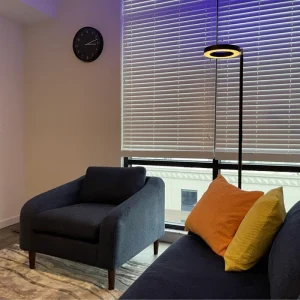 Ledger Armchair photo review