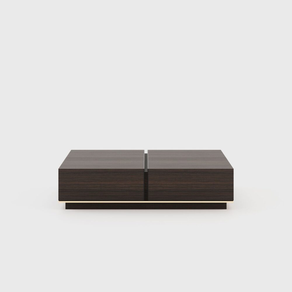 Sila Coffee table with Storage
