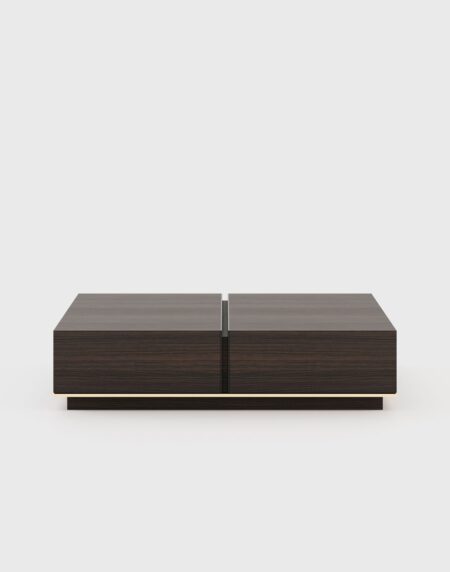 Sila Coffee table with Storage