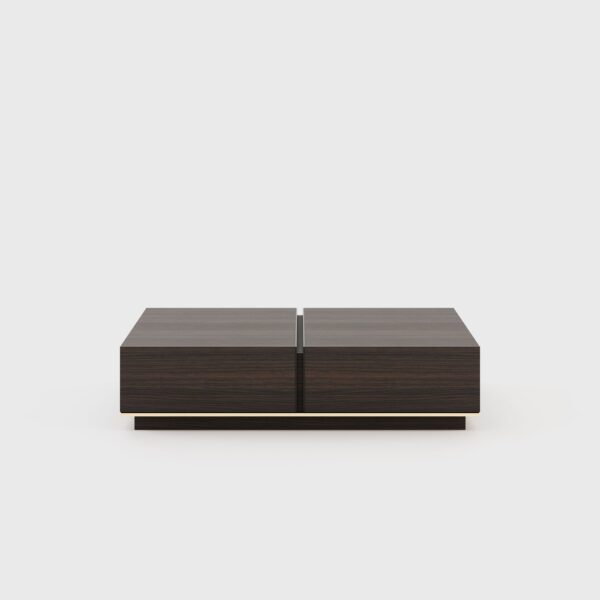Sila Coffee table with Storage