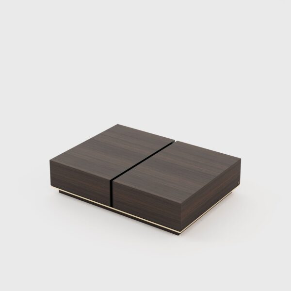 Sila Coffee table with Storage - Image 4
