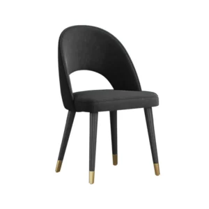 Modern Black Dining Chair