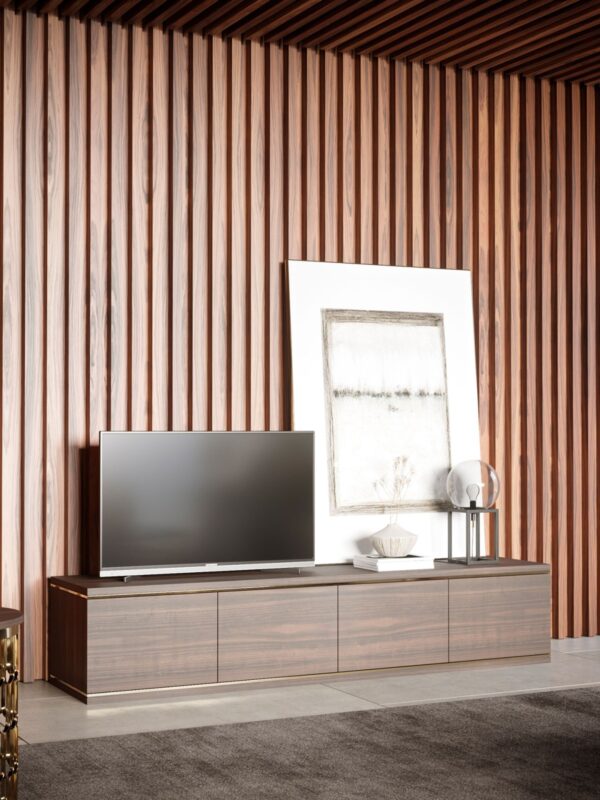 Duane TV cabinet - Image 6