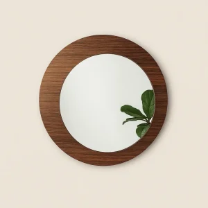 SoulView Mirror