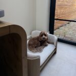 Beige Fabric Pet Bed with Oak Ribbed Sides - Image 6